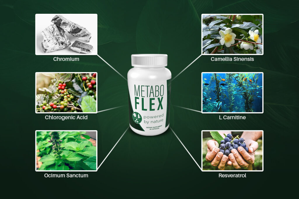 Metabo Flex ingredients